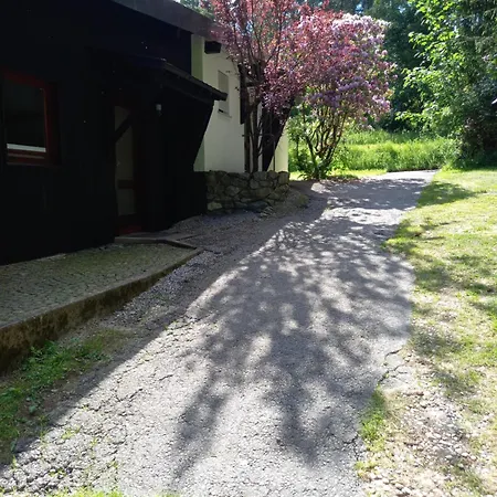 Explorer's & 海明豪森