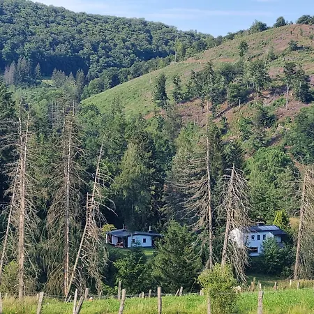 Explorer's & * 海明豪森