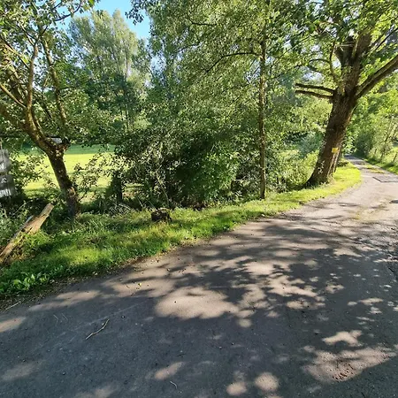 Explorer's & 公寓 海明豪森