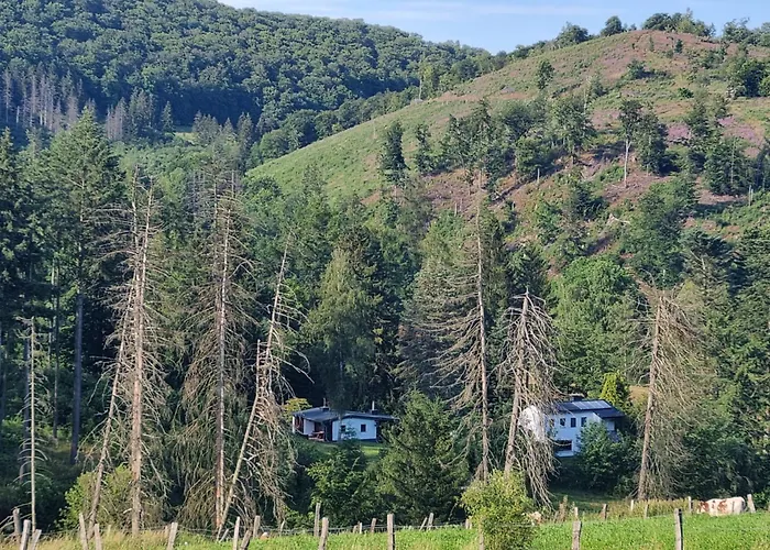 Explorer's & * Helminghausen