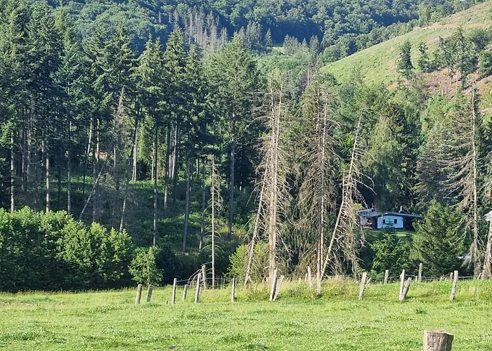 Explorer's & Apartamento Helminghausen