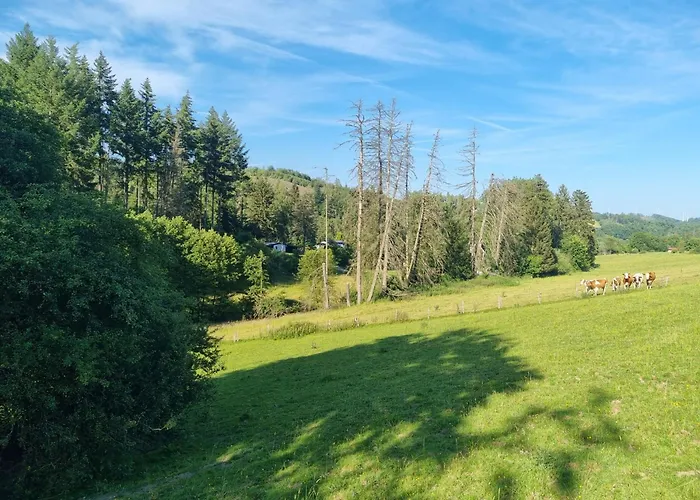 Apartamento Explorer's & *